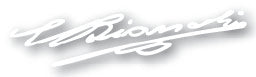 Bianchi Top Tube Signature Decal