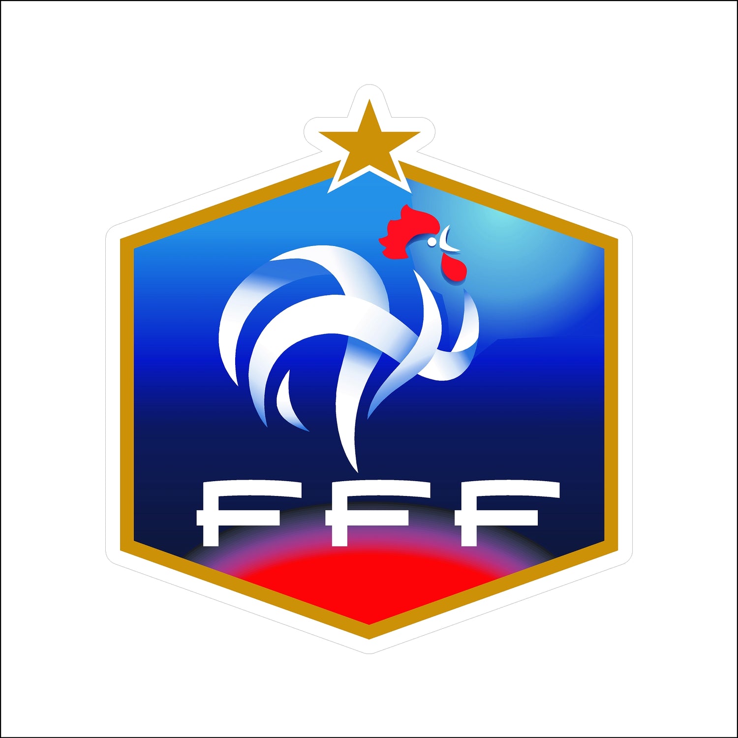 France Football Federation