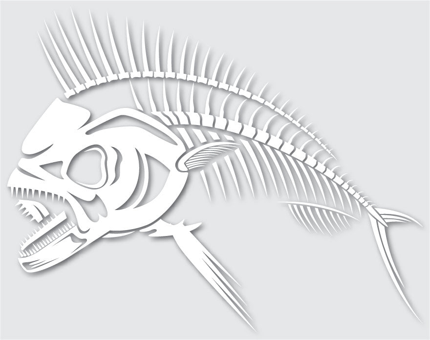 Fish Skeleton Dcale Fish Skeleton 2 Decal | Car Decal NZ | Premium Vinyl |... – Decal City NZ