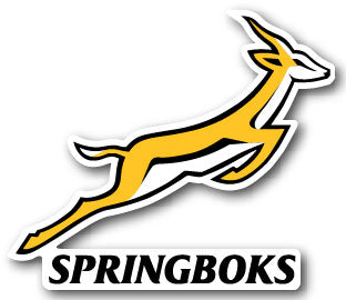 Springboks Decal