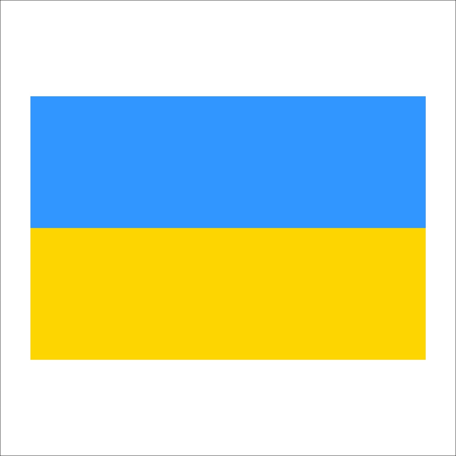 Ukraine Flag